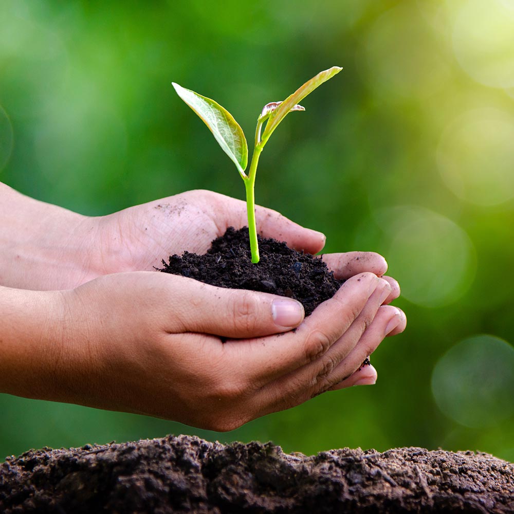 Energie verde din agricultură